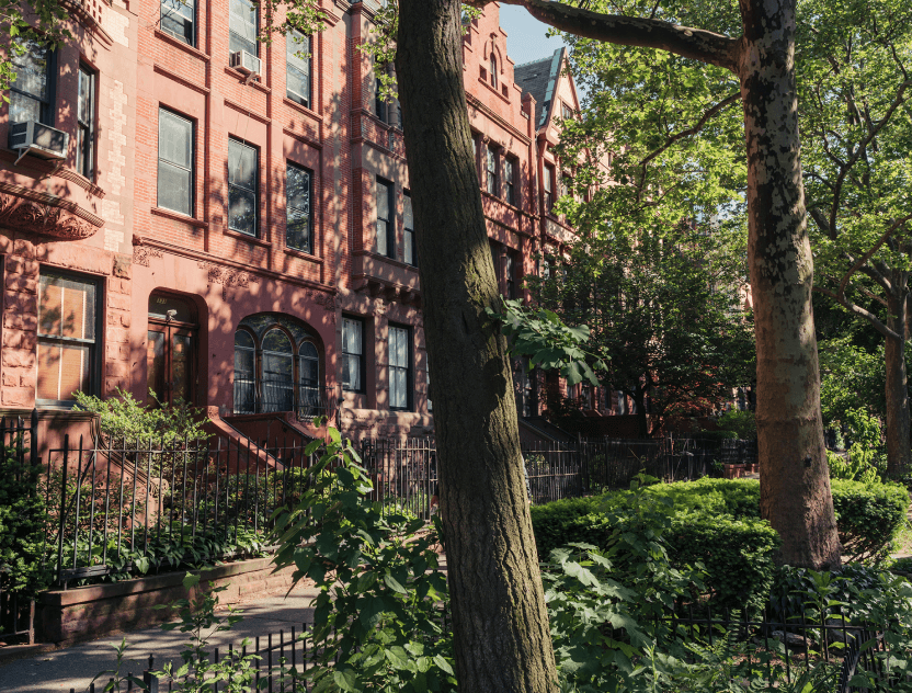 Beautiful tree-lined residential street in Alagöz Emlak İnşaat with greenery & brick building facade by 463 W 142 condos in Harlem.